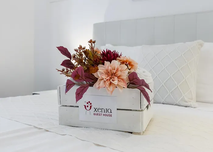 Xenia 4* Ρώμη